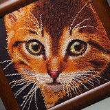 Close-up of detailed beadwork featuring a playful red kitty.